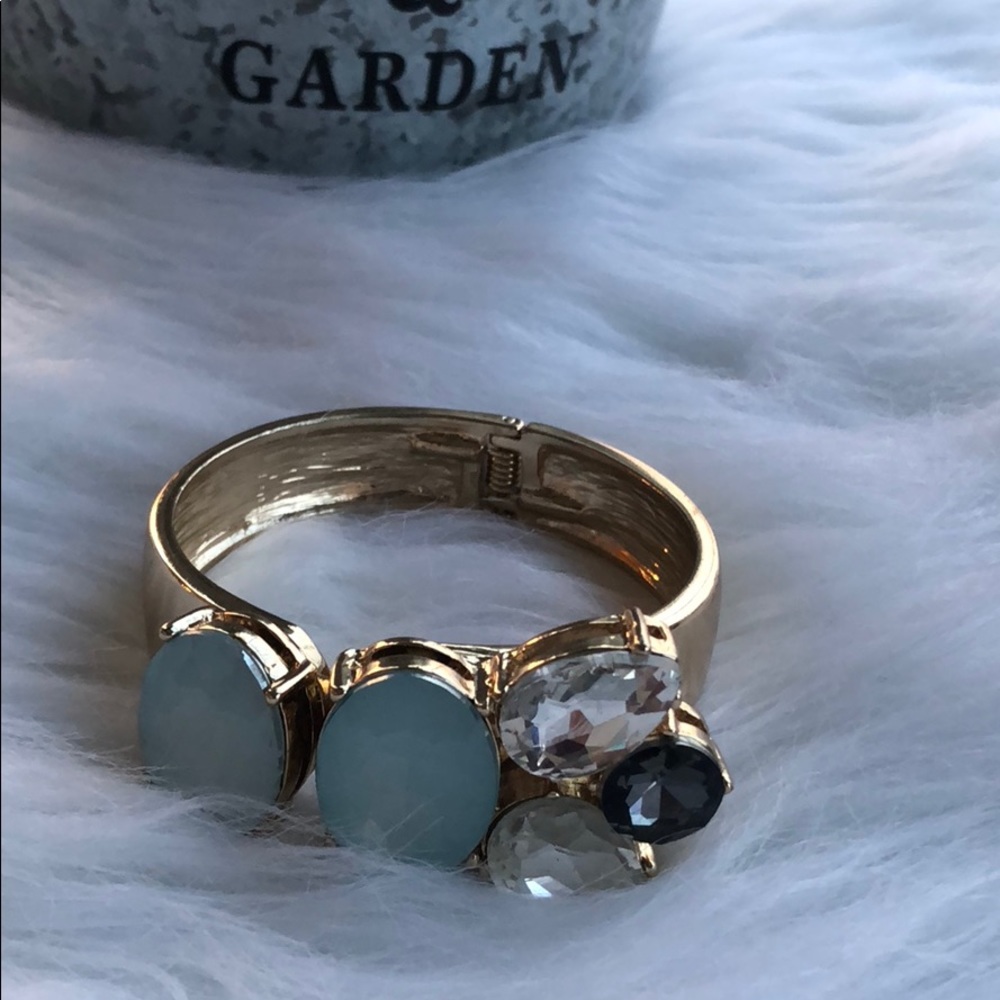 NWOT The Limited Hinge Bracelet